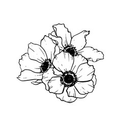 Anemones Poppy Flowers Bouquet In Black And White