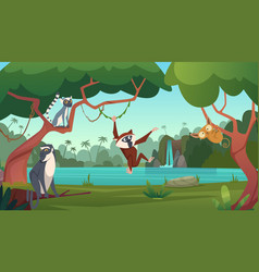 Jungle Monkey Cartoon Colored Background