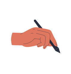 Hand Holding Stylus Artists Arm Wrist