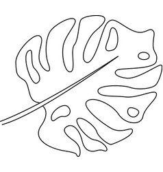 Tropical Leaf Outline