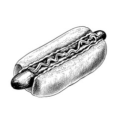 Hand Drawn Hot Dog Sketch Draft Drawing On White