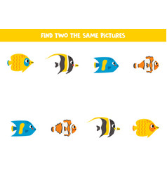 Find Two The Same Reef Fish Educational Game