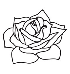 Flowering Rose Stroke Icon Flower