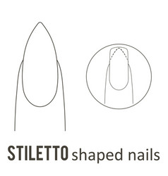 Nail Shape Stiletto