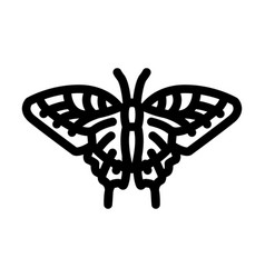 Eastern Tiger Swallowtail Summer Line Icon