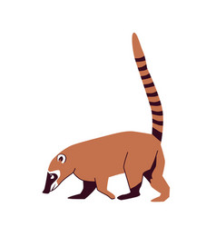 Nosua Or Coati Is A Genus Of Small Mammals