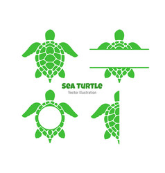 Swimming Sea Turtle Text Box Leave Space