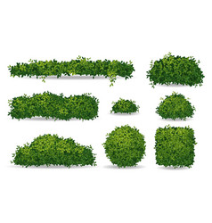 Bushes Realistic Set