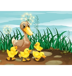 Brown duck and her four yellow ducklings Vector Image