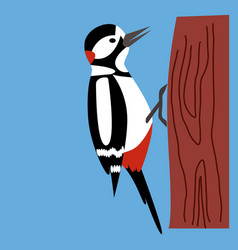 Woodpecker On A Tree