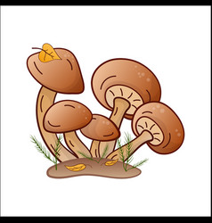 Honey Mushrooms Color Isolated