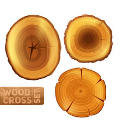 Wood Cross Section Set