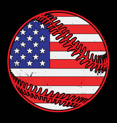 Baseball American Flag