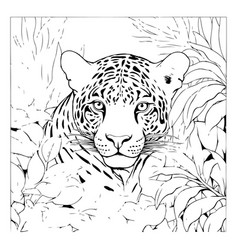 Jaguar In The Jungle Hand Drawn For Coloring Book