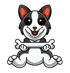 Cute Border Collie Dog Cartoon Holding A Bone