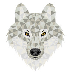 Wolf Polygonal Low Poly Grey Face