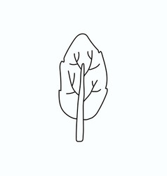 Hand Drawn Tree