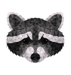 Raccoon Polygonal Low Poly Face