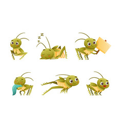 Cute Little Grasshopper Character Engaged