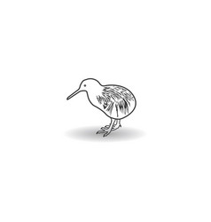 Kiwi Bird Icon