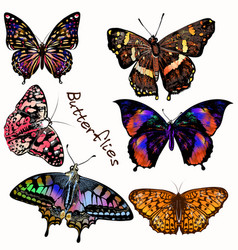 Colorful butterflies with shadow Royalty Free Vector Image