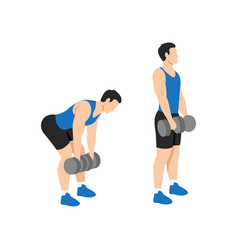 Man doing barbell stiff leg deadlift exercise Vector Image