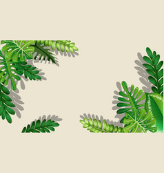 Tropical Plants Border Frame On White Background