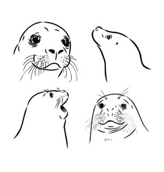 Sketch Of A Seal On Stone Hand Drawn