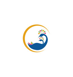 Peacock Icon Logo Design