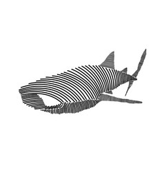 Simple Line Art Of A Whale Shark 3