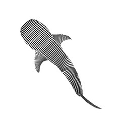 Simple Line Art Of A Whale Shark 2