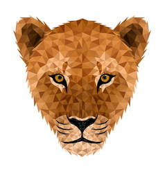 Lion Low Poly Low Poly Triangular Face