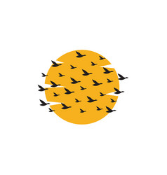 Bird Colony Back Sunset Logo Symbol Icon Graphic