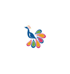 Peacock Icon Logo Design