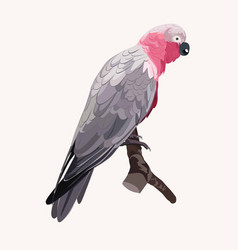 Hand-drawing Pink Parrot Tropical Bird