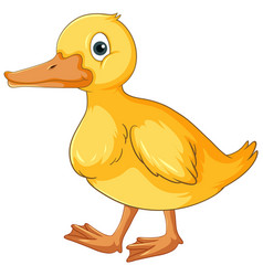 Little Yellow Duck Cartoon Character