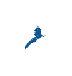 Peacock Icon Logo Design