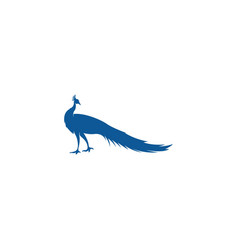 Peacock Icon Logo Design