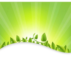 Green background with blur and grass Royalty Free Vector