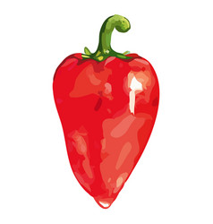 Watercolor Red Sweet Bell Bulgarian Pepper