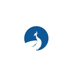 Peacock Icon Logo Design