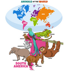 Educational Cartoon South American Animals