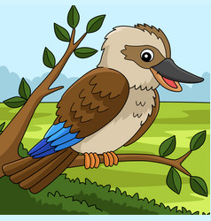 Kookaburra Animal Colored Cartoon