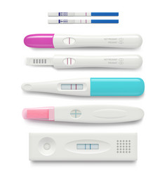 Pregnancy Test Female Negative Or Positive Test