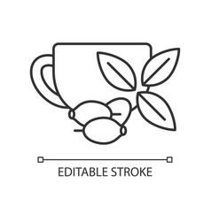 Rosehip Tea Linear Icon