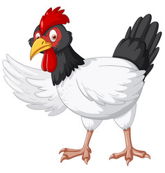 A Chicken Wearing Sunglasses Cartoon Character