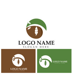 Cocoon Logo Template Icon Design