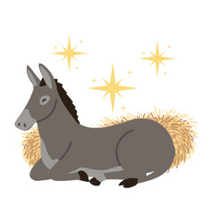 Nativity Manger Donkey Animal Cartoon