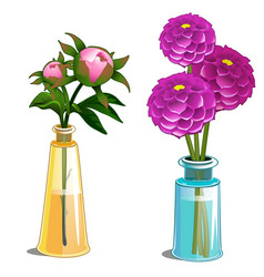 Blooming Dahlia And Non-blooming Flower In Vase