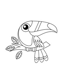 Toucan Bird Drawing Line Cute Black White